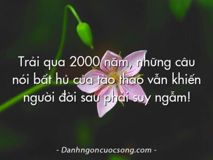 Trải qua 2000 năm, những câu nói bất hủ của tào tháo vẫn khiến người đời sau phải suy ngẫm!