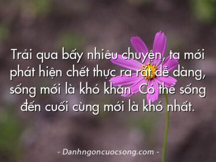 Trải qua bấy nhiêu chuyện, ta mới phát hiện chết thực ra rất dễ dàng, sống mới là khó khăn. Có thể sống đến cuối cùng mới là khó nhất.