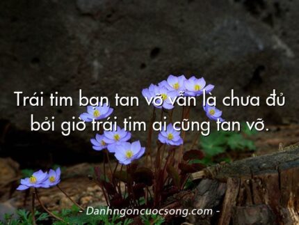 Trái tim bạn tan vỡ vẫn là chưa đủ bởi giờ trái tim ai cũng tan vỡ.