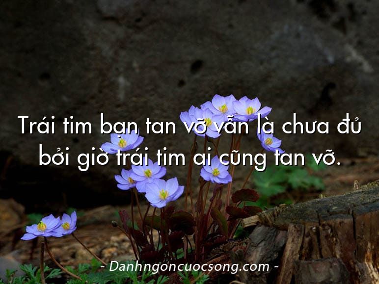 Trái tim bạn tan vỡ vẫn là chưa đủ bởi giờ trái tim ai cũng tan vỡ.