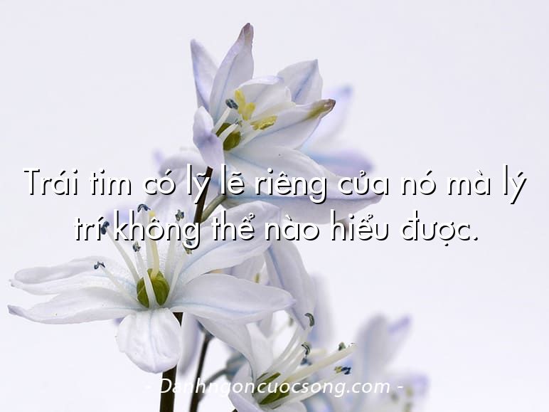 Trái tim có lỹ lẽ riêng của nó mà lý trí không thể nào hiểu được.