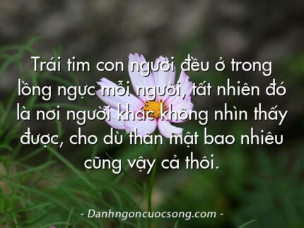 Trái tim con người đều ở trong lồng ngực mỗi người, tất nhiên đó là nơi người khác không nhìn thấy được, cho dù thân mật bao nhiêu cũng vậy cả thôi.