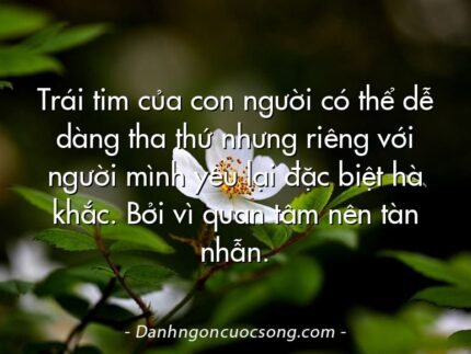Trái tim của con người có thể dễ dàng tha thứ nhưng riêng với người mình yêu lại đặc biệt hà khắc. Bởi vì quan tâm nên tàn nhẫn.