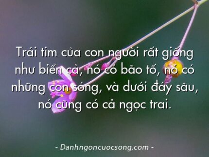 Trái tim của con người rất giống như biển cả, nó có bão tố, nó có những con sóng, và dưới đáy sâu, nó cũng có cả ngọc trai.