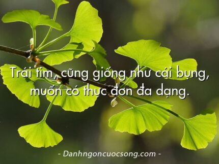 Trái tim, cũng giống như cái bụng, muốn có thực đơn đa dạng.