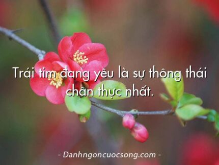 Trái tim đang yêu là sự thông thái chân thực nhất.