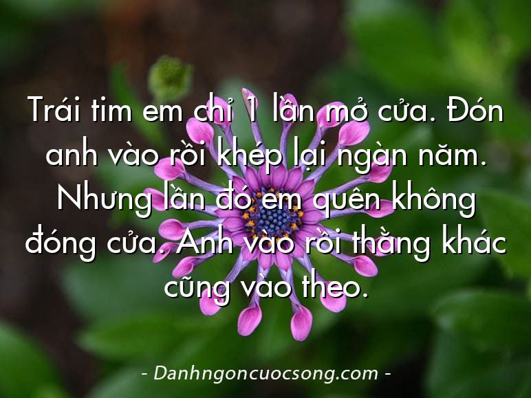 Trái tim em chỉ 1 lần mở cửa. Đón anh vào rồi khép lại ngàn năm. Nhưng lần đó em quên không đóng cửa. Anh vào rồi thằng khác cũng vào theo.