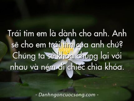 Trái tim em là dành cho anh. Anh sẽ cho em trái tim của anh chứ? Chúng ta sẽ khóa chúng lại với nhau và ném đi chiếc chìa khóa.