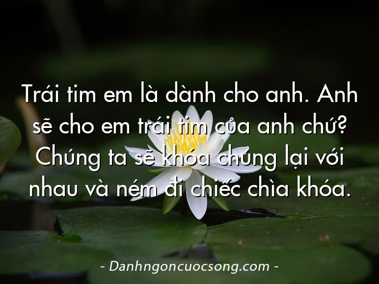 Trái tim em là dành cho anh. Anh sẽ cho em trái tim của anh chứ? Chúng ta sẽ khóa chúng lại với nhau và ném đi chiếc chìa khóa.