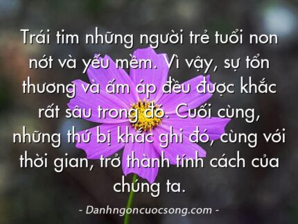 Trái tim những người trẻ tuổi non nớt và yếu mềm. Vì vậy, sự tổn thương và ấm áp đều được khắc rất sâu trong đó. Cuối cùng, những thứ bị khắc ghi đó, cùng với thời gian, trở thành tính cách của chúng ta.