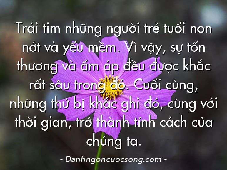 Trái tim những người trẻ tuổi non nớt và yếu mềm. Vì vậy, sự tổn thương và ấm áp đều được khắc rất sâu trong đó. Cuối cùng, những thứ bị khắc ghi đó, cùng với thời gian, trở thành tính cách của chúng ta.