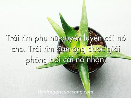 Trái tim phụ nữ quyến luyến cái nó cho. Trái tim đàn ông được giải phóng bới cái nó nhận.