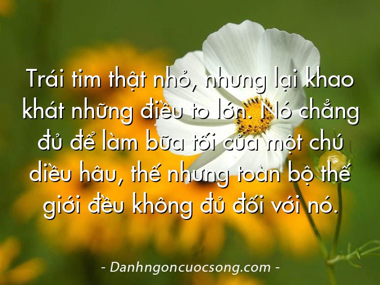 Trái tim thật nhỏ, nhưng lại khao khát những điều to lớn. Nó chẳng đủ để làm bữa tối của một chú diều hâu, thế nhưng toàn bộ thế giới đều không đủ đối với nó.