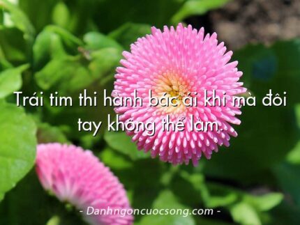 Trái tim thi hành bác ái khi mà đôi tay không thể làm.