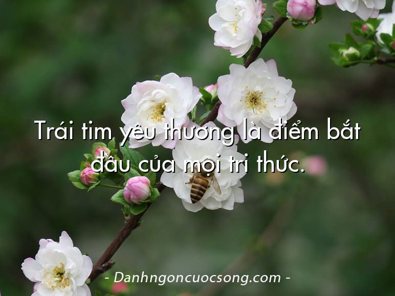Trái tim yêu thương là điểm bắt đầu của mọi tri thức.