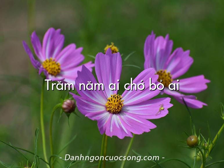 Trăm năm ai chớ bỏ ai