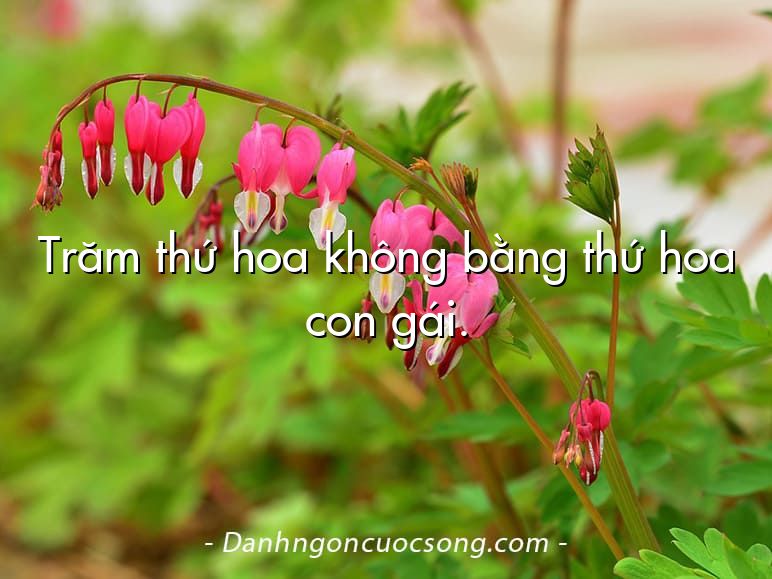 Trăm thứ hoa không bằng thứ hoa con gái.