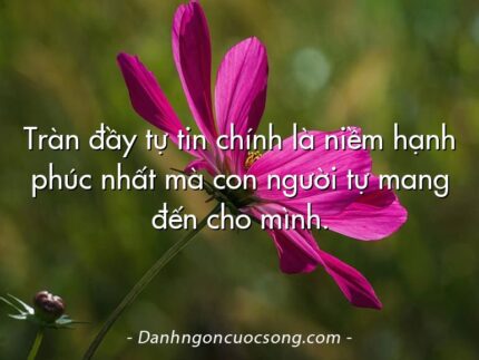 Tràn đầy tự tin chính là niềm hạnh phúc nhất mà con người tự mang đến cho mình.