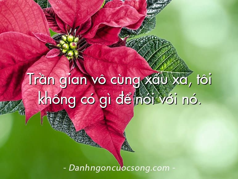 Trần gian vô cùng xấu xa, tôi không có gì để nói với nó.