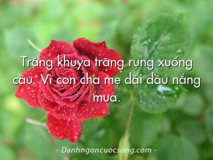 Trăng khuya trăng rụng xuống cầu. Vì con cha mẹ dãi dầu nắng mưa.