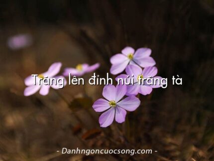 Trăng lên đỉnh núi trăng tà