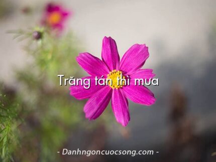 Trăng tán thì mưa