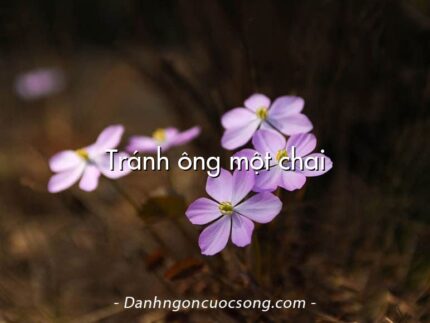 Tránh ông một chai