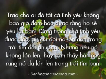 Trao cho ai đó tất cả tình yêu không bao giờ đảm bảo được rằng họ sẽ yêu lại bạn! Đừng trông chờ tình yêu được đáp lại, chỉ đợi nó lớn dần trong trái tim đối phương. Nhưng nếu nó không lớn lên, hãy cảm thấy hài lòng rằng nó đã lớn lên trong trái tim bạn.