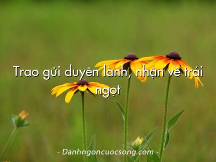 Trao gửi duyên lành, nhận về trái ngọt