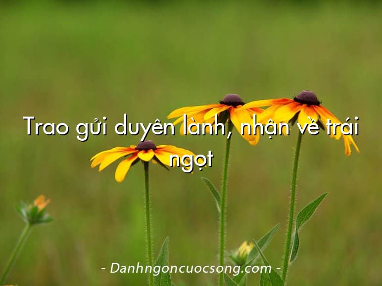 Trao gửi duyên lành, nhận về trái ngọt
