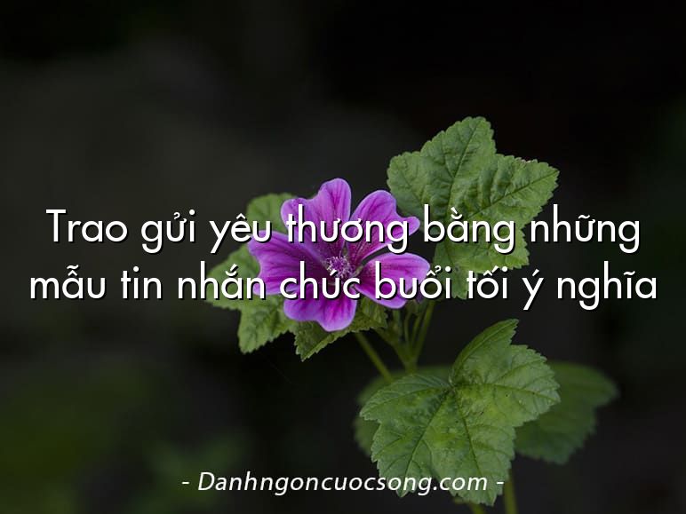 Trao gửi yêu thương bằng những mẫu tin nhắn chúc buổi tối ý nghĩa