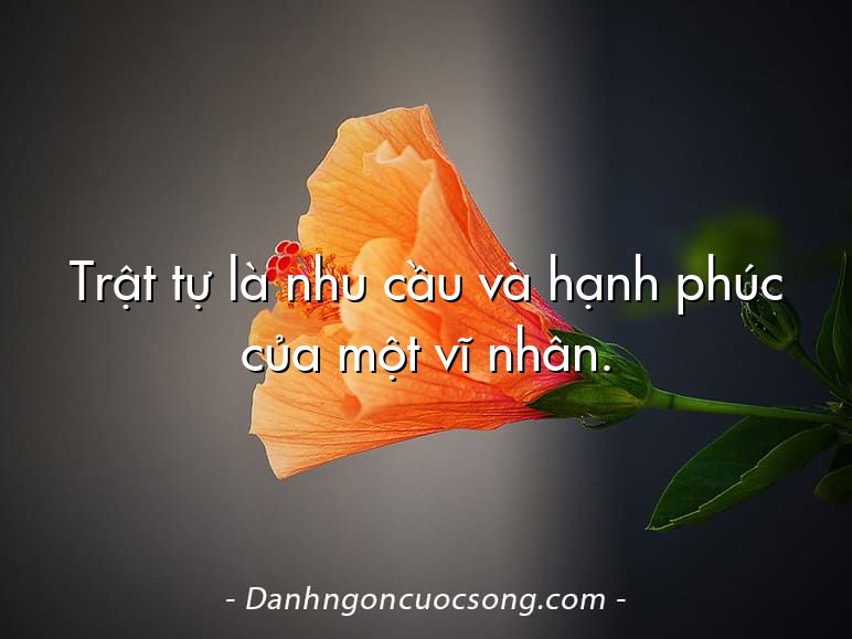 Trật tự là nhu cầu và hạnh phúc của một vĩ nhân.