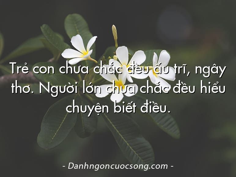 Trẻ con chưa chắc đều ấu trĩ, ngây thơ. Người lớn chưa chắc đều hiểu chuyện biết điều.