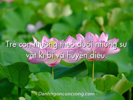 Trẻ con thường theo đuổi những sự vật kì bí và huyền diệu.