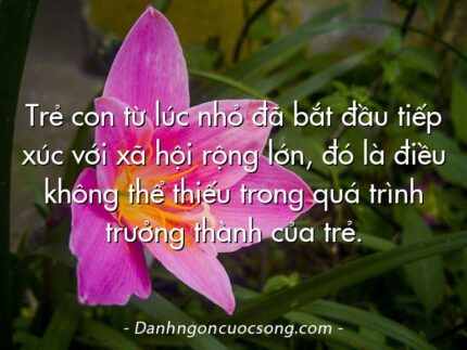 Trẻ con từ lúc nhỏ đã bắt đầu tiếp xúc với xã hội rộng lớn, đó là điều không thể thiếu trong quá trình trưởng thành của trẻ.