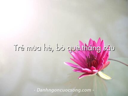 Trẻ mùa hè, bò què tháng sáu
