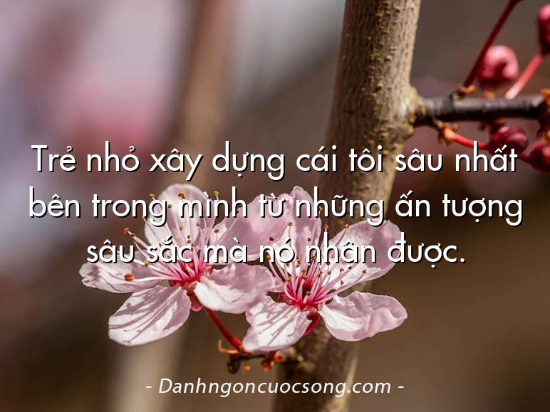 Trẻ nhỏ xây dựng cái tôi sâu nhất bên trong mình từ những ấn tượng sâu sắc mà nó nhận được.