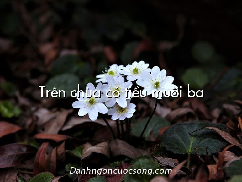 Trên chùa có tiểu mười ba