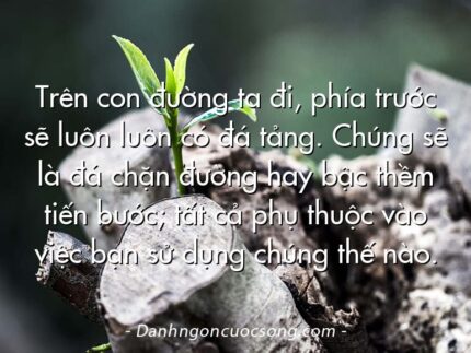 Trên con đường ta đi, phía trước sẽ luôn luôn có đá tảng. Chúng sẽ là đá chặn đường hay bậc thềm tiến bước; tất cả phụ thuộc vào việc bạn sử dụng chúng thế nào.