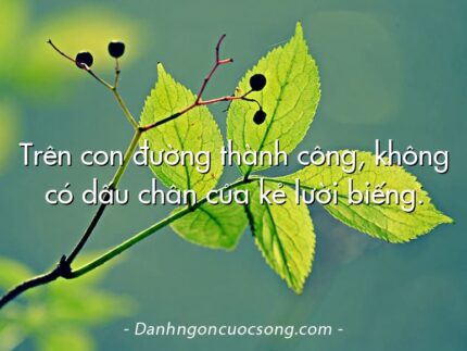 Trên con đường thành công, không có dấu chân của kẻ lười biếng.