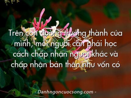 Trên con đường trưởng thành của mình, mỗi người cần phải học cách chấp nhận người khác và chấp nhận bản thân như vốn có