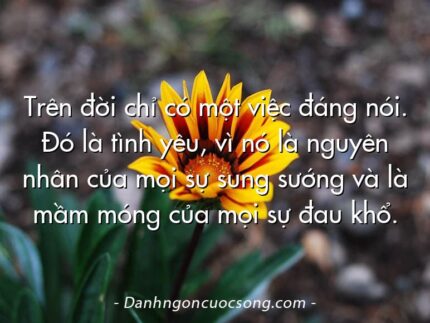 Trên đời chỉ có một việc đáng nói. Đó là tình yêu, vì nó là nguyên nhân của mọi sự sung sướng và là mầm móng của mọi sự đau khổ.