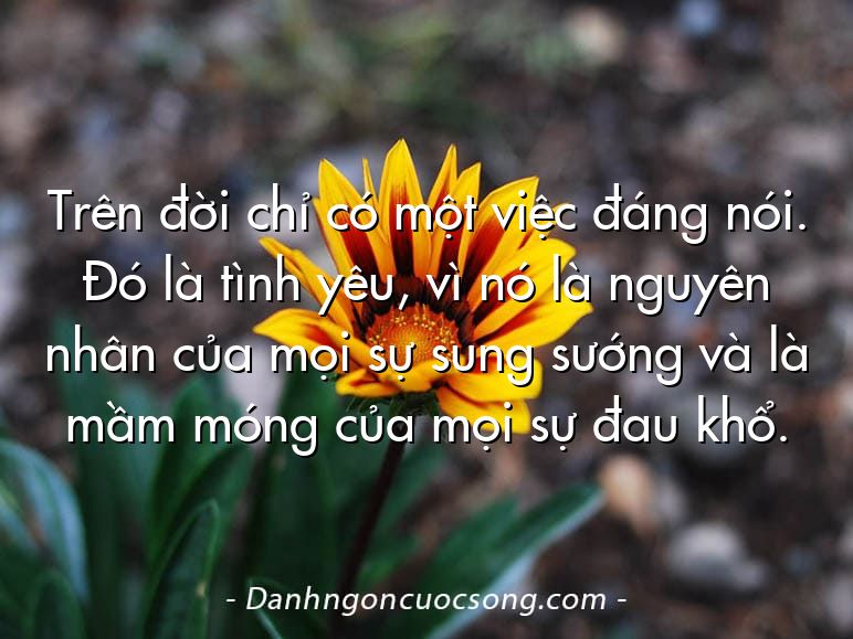 Trên đời chỉ có một việc đáng nói. Đó là tình yêu, vì nó là nguyên nhân của mọi sự sung sướng và là mầm móng của mọi sự đau khổ.