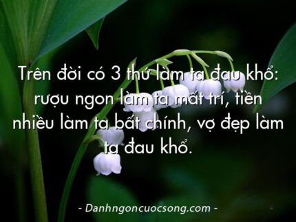 Trên đời có 3 thứ làm ta đau khổ: rượu ngon làm ta mất trí, tiền nhiều làm ta bất chính, vợ đẹp làm ta đau khổ.