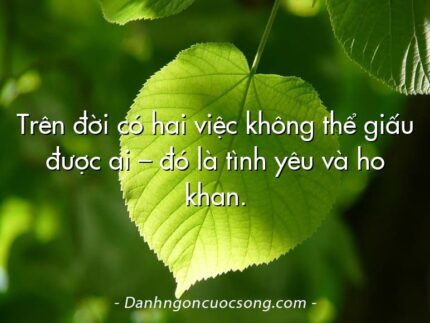 Trên đời có hai việc không thể giấu được ai – đó là tình yêu và ho khan.