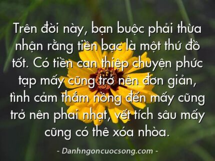 Trên đời này, bạn buộc phải thừa nhận rằng tiền bạc là một thứ đồ tốt. Có tiền can thiệp chuyện phức tạp mấy cũng trở nên đơn giản, tình cảm thắm nồng đến mấy cũng trở nên phai nhạt, vết tích sâu mấy cũng có thê xóa nhòa.