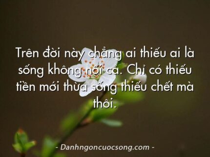 Trên đời này chẳng ai thiếu ai là sống không nổi cả. Chỉ có thiếu tiền mới thừa sống thiếu chết mà thôi.