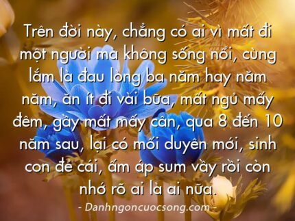 Trên đời này, chẳng có ai vì mất đi một người mà không sống nổi, cùng lắm là đau lòng ba năm hay năm năm, ăn ít đi vài bữa, mất ngủ mấy đêm, gầy mất mấy cân, qua 8 đến 10 năm sau, lại có mối duyên mới, sinh con đẻ cái, ấm áp sum vầy rồi còn nhớ rõ ai là ai nữa.