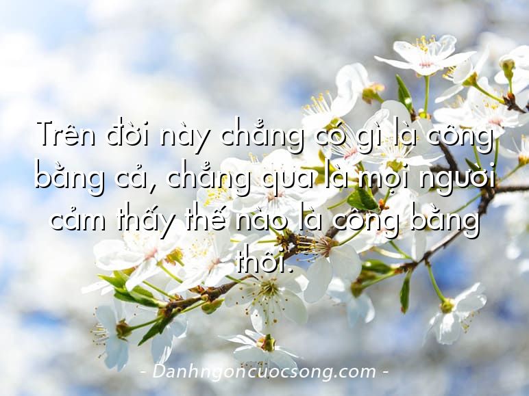 Trên đời này chẳng có gì là công bằng cả, chẳng qua là mọi người cảm thấy thế nào là công bằng thôi.