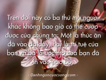 Trên đời này có ba thứ mà người khác không bao giờ có thể cướp được của chúng ta: Một là thức ăn đã vào dạ dày, hai là trí tuệ của bạn và ba là ước mơ của bạn đã in vào não bộ.